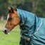 Bucas Atlantic 300g Turnout Combi Neck Cover - Atlantic Green